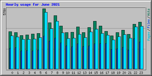 Hourly usage for June 2021