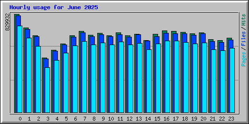 Hourly usage for June 2025