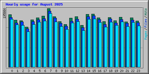 Hourly usage for August 2025